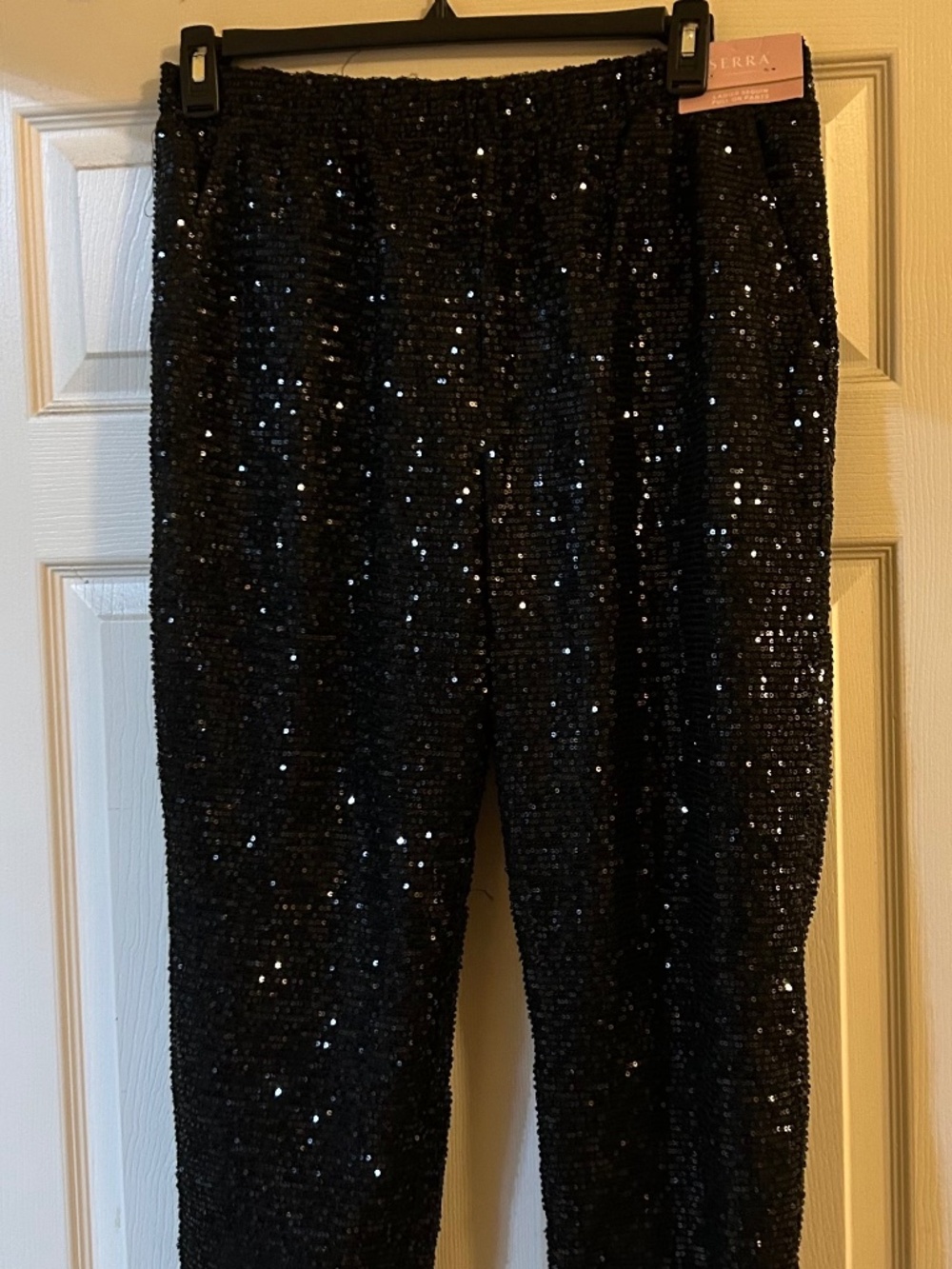 Ladies sequin pull on pants
